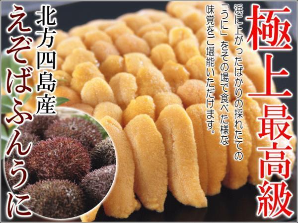 即決★特上えぞばふんうに生塩水漬100g最高級品北方四島産[カニデパ]かなはし水産 261 即決☆特上えぞばふんうに生塩水漬100g最高級品北方四島産[カニデパ 鮮度抜群！極上生えぞバフンうに生うに塩水詰め100g×2 北海道産 | 北海道 北釧水産海鮮魚介専門店