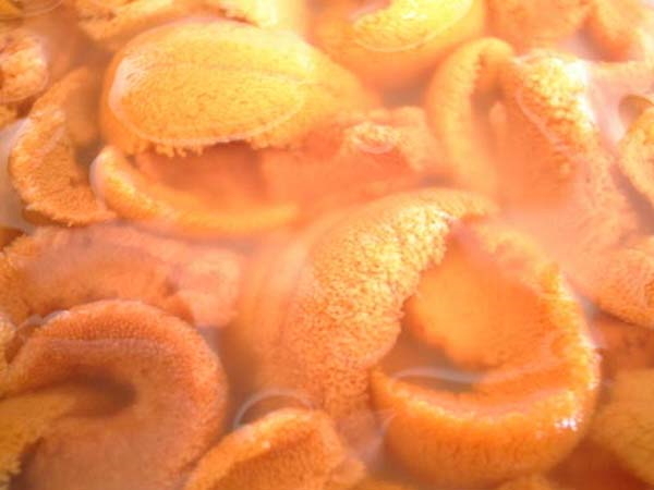 即決★特上えぞばふんうに生塩水漬100g最高級品北方四島産[カニデパ]かなはし水産 261 即決☆特上えぞばふんうに生塩水漬100g最高級品北方四島産[カニデパ 鮮度抜群！極上生えぞバフンうに生うに塩水詰め100g×2 北海道産 | 北海道 北釧水産海鮮魚介専門店