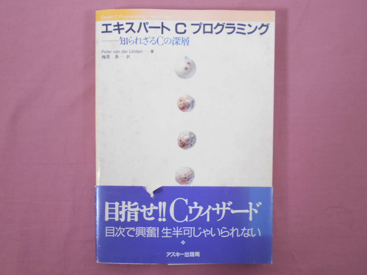 本 エキスパートCプログラミング: 知られざるCの深層 (アスキー
