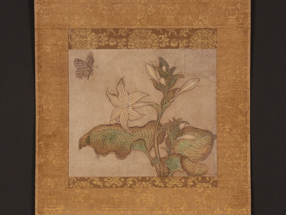 Yahoo!オークション 森本草介 希少画集・額装画 希少画集 厳選