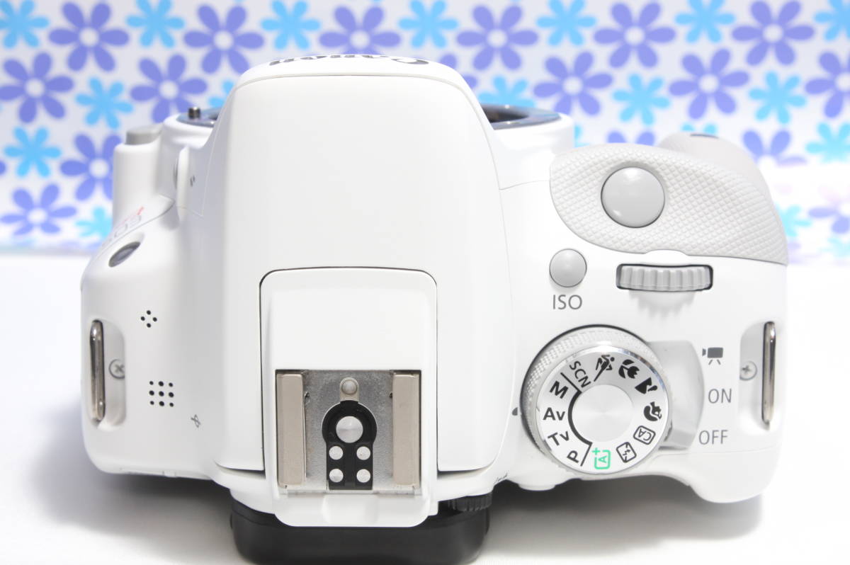 極上美品☆Canon キャノン EOS kiss X7☆希少なホワイトカラー☆軽量