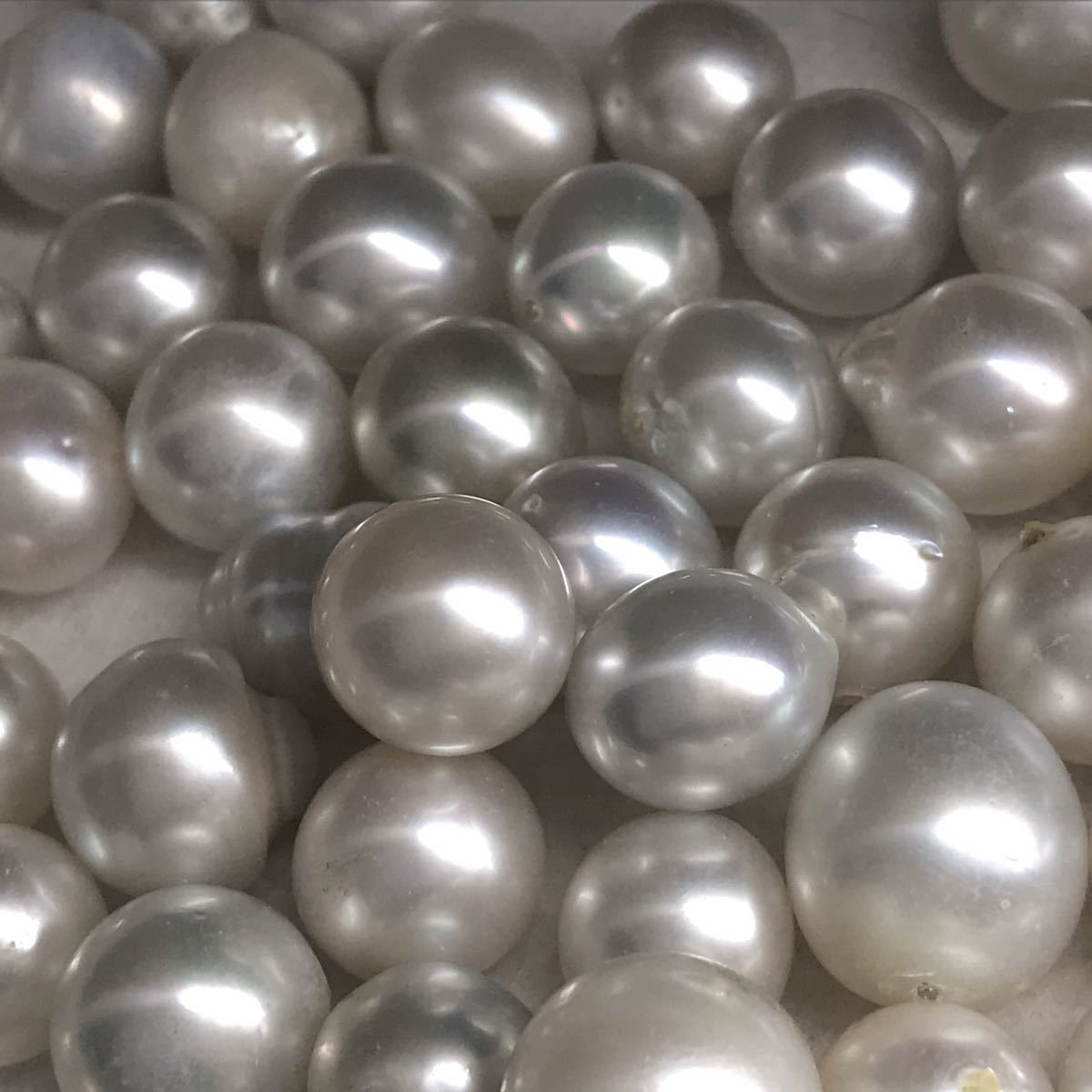 ［南洋白蝶真珠おまとめ 1000ct］ルース 裸石 真珠 貝 pearl jewelry ジュエリー 