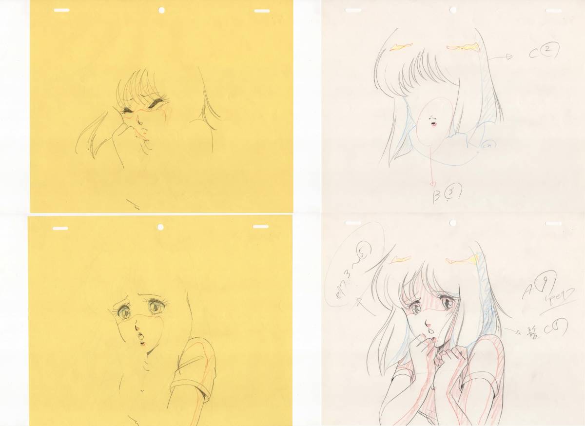 原画SM「27436 自分のスキルを信じてる　トラ」 メガゾーン23 直筆 修正原画 原画 平野俊弘 垣野内成美 当時物 シーン9