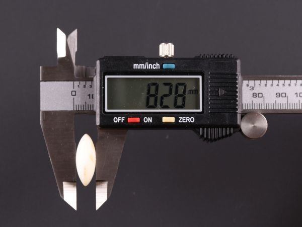 囲碁 本蛤碁石 実用 日向特製蛤碁石那智黒碁石 0 厚み8.4mm