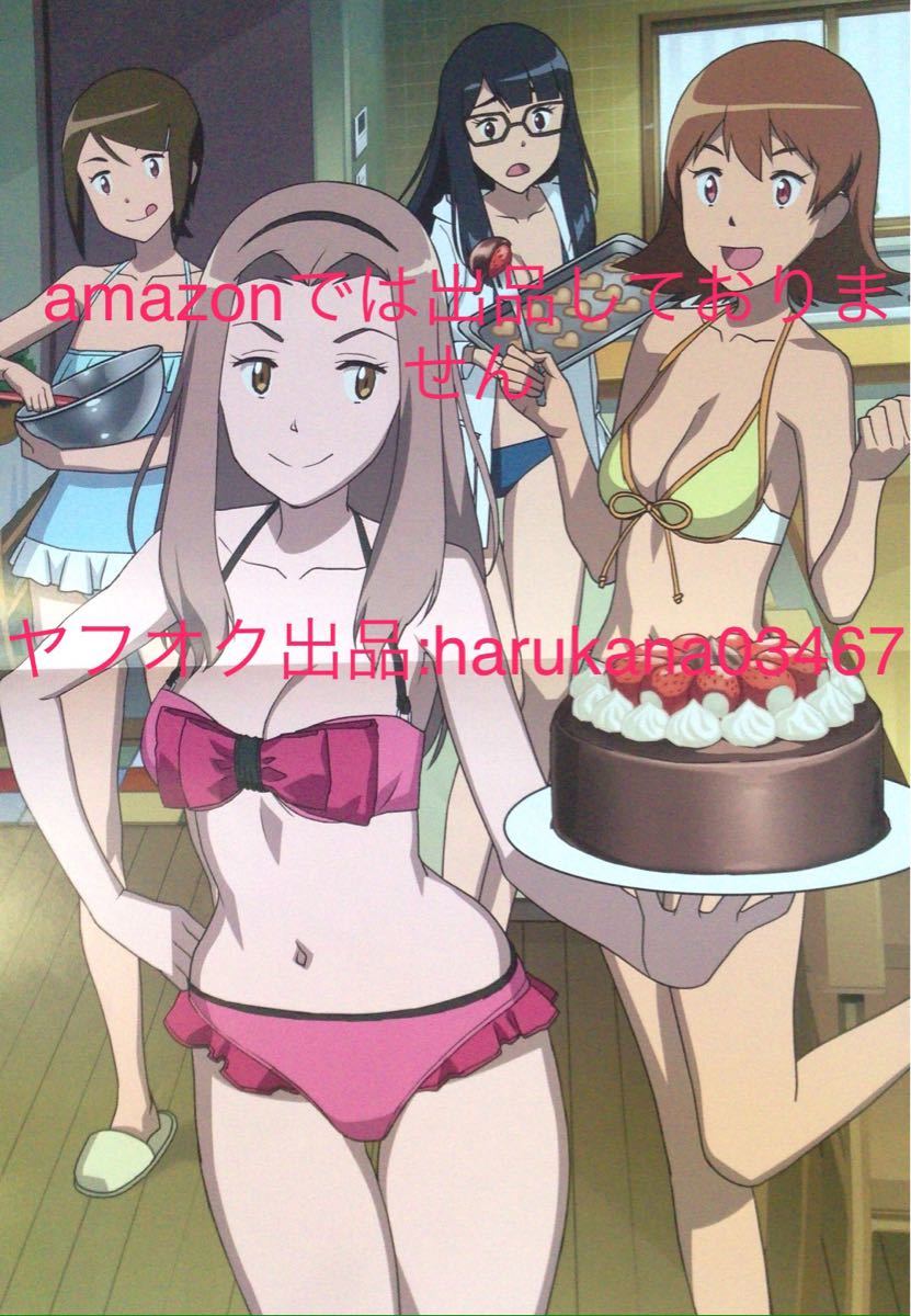 A3 ピンナップポスター デジモンアドベンチャー tri. 太刀川ミミ 武之