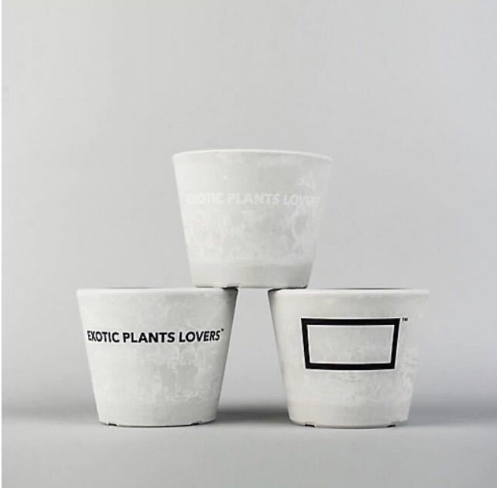 BOTANIZE コラボ プラ鉢 3点セット 伊勢丹限定 BOTANIZE ボタナイズ プラスチック鉢 3個セット