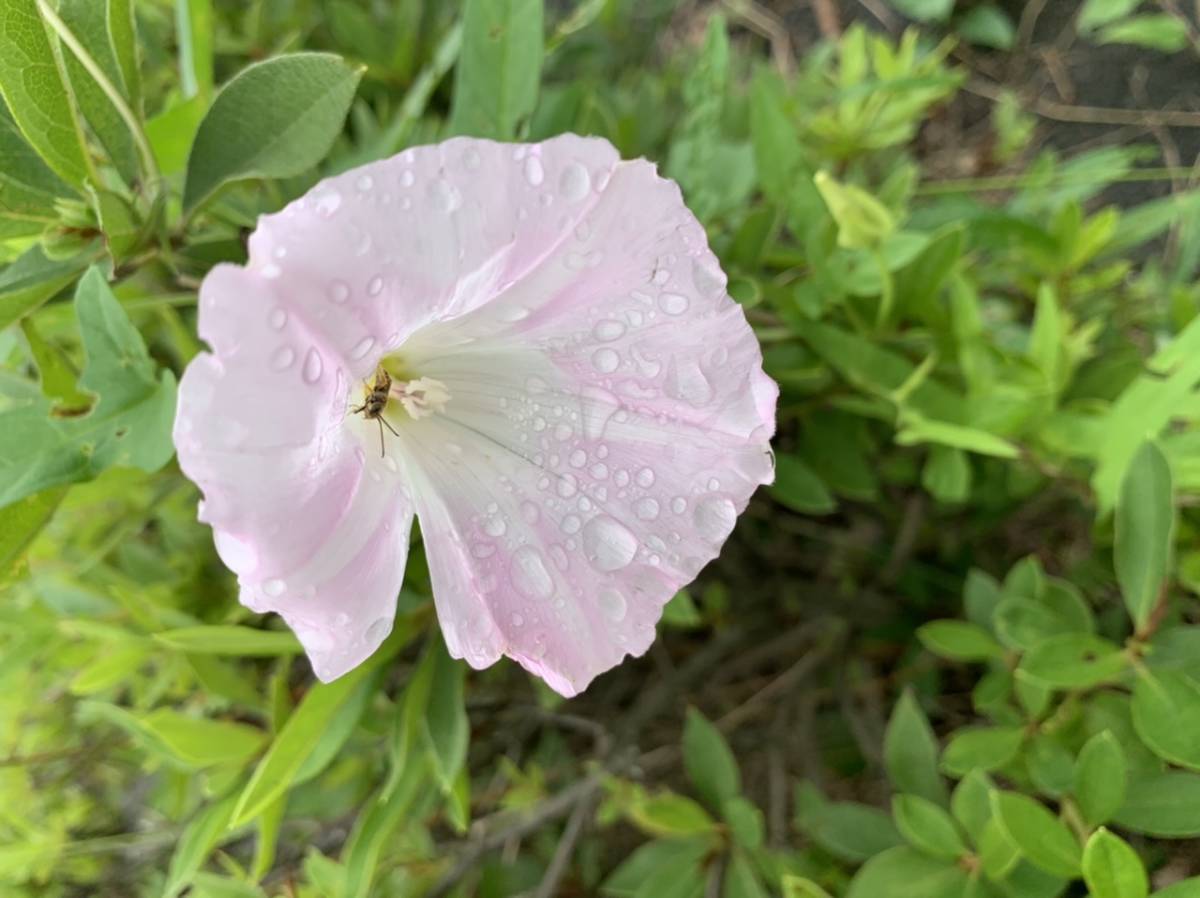 風景画② 相互評価　1_1