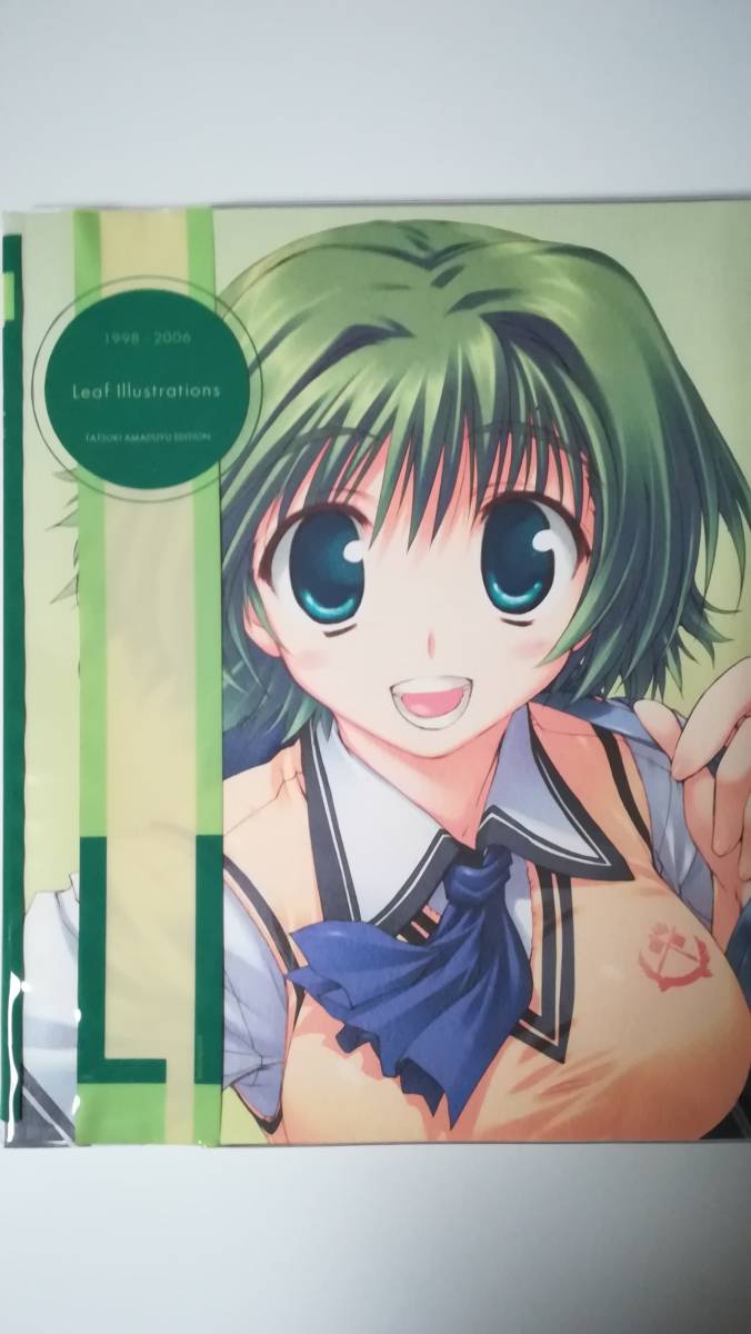 甘露樹画集 1998 06 Leaf Illustration イラスト集 原画集 売買されたオークション情報 Yahooの商品情報をアーカイブ公開 オークファン Aucfan Com