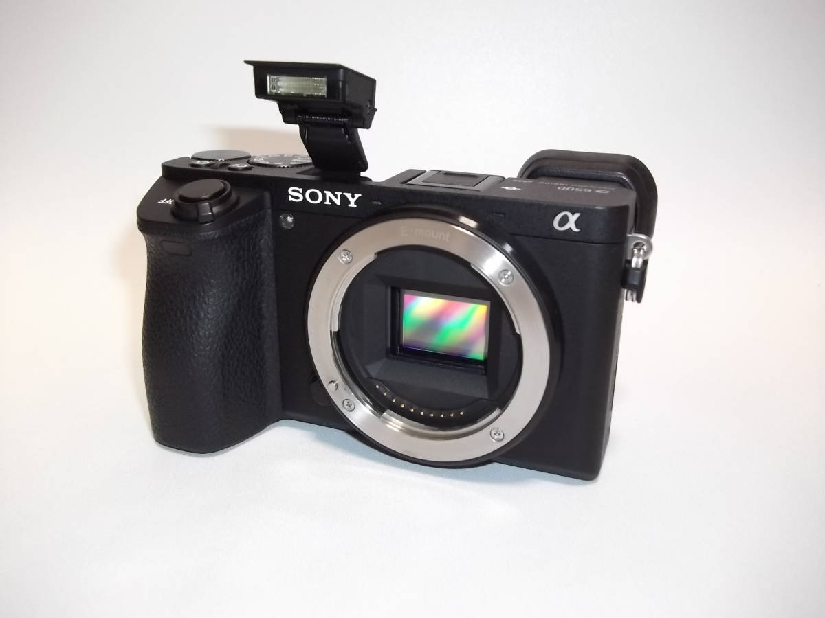 天体撮影 フルスペクトル改造 α SONY フル ミラーレス Sony NEX-5R