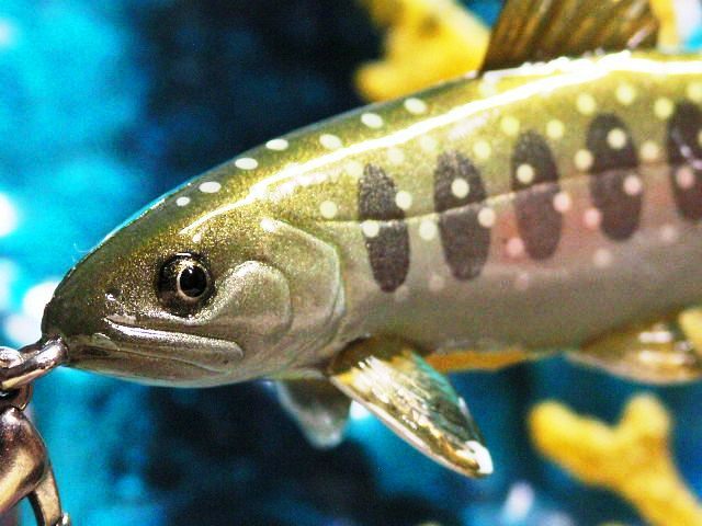 お魚携帯ストラップ 岩魚 ニッコウイワナ 自然派 渓流釣大 ストラップ アクセサリー アクセサリー 売買されたオークション情報 Yahooの商品情報をアーカイブ公開 オークファン Aucfan Com