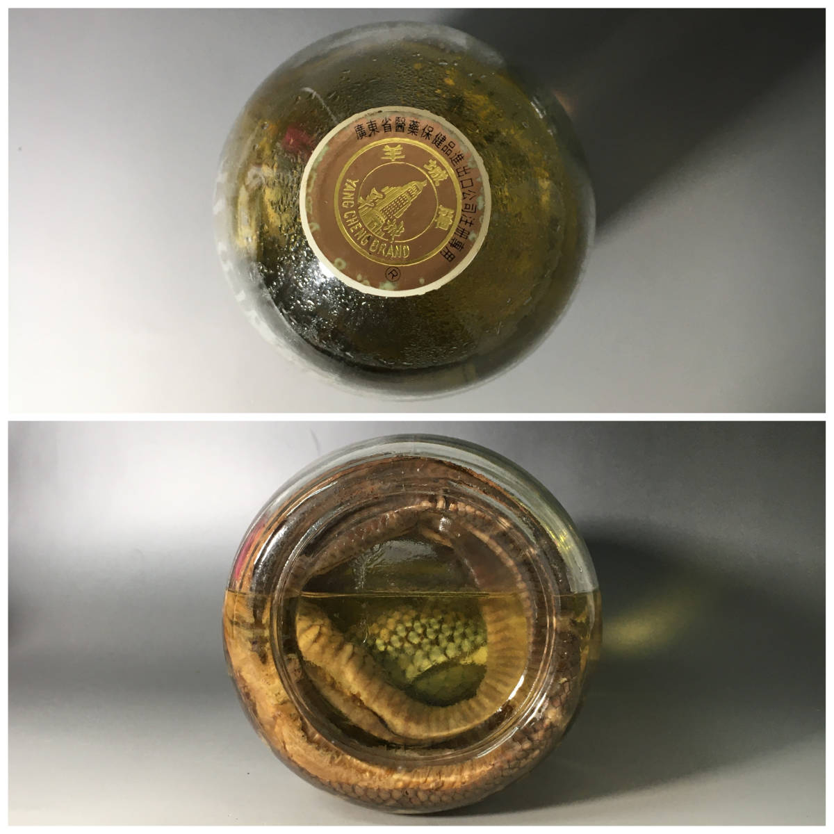 hn1/2　【古酒】三蛇酒 中国廣東 YANG LING 中国酒 38度 2.5L 開封 リキュール 蛇 箱あり ハブ/マムシ/コブラ YANG LING 三蛇酒 LING「三 ヘビ 滋養強壮