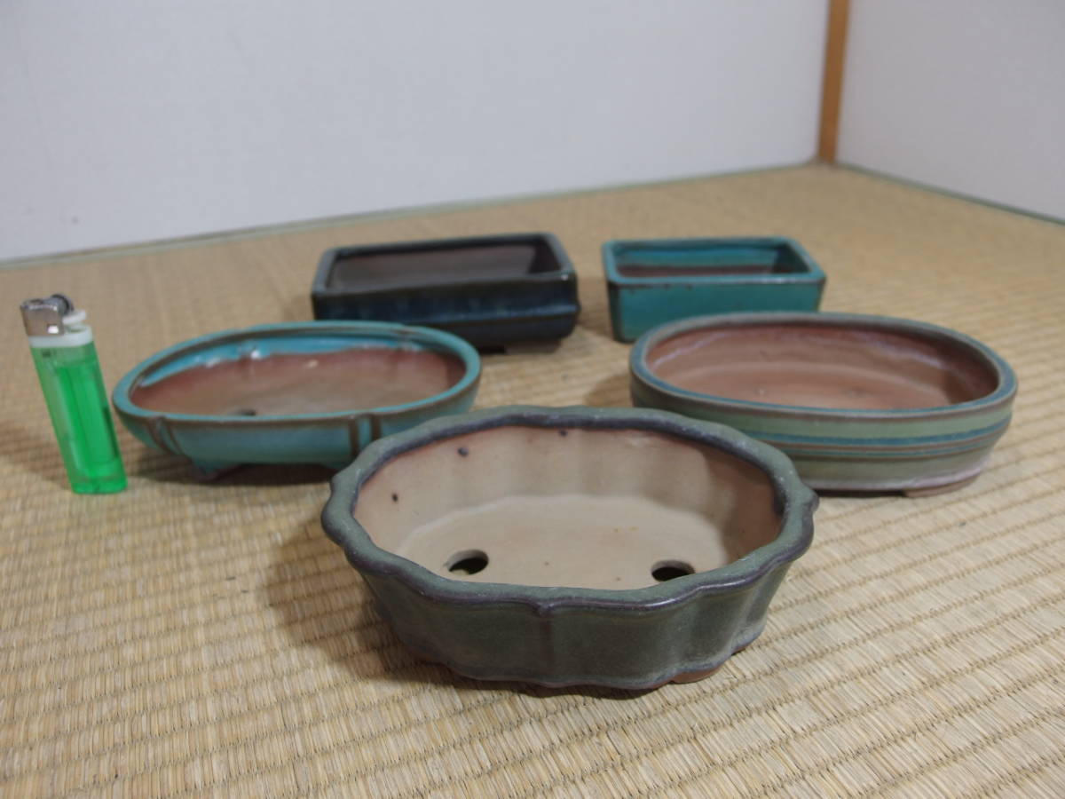 紫峰盆栽》 陶翠 釉薬5個組⑨ 小鉢特集 売り切り