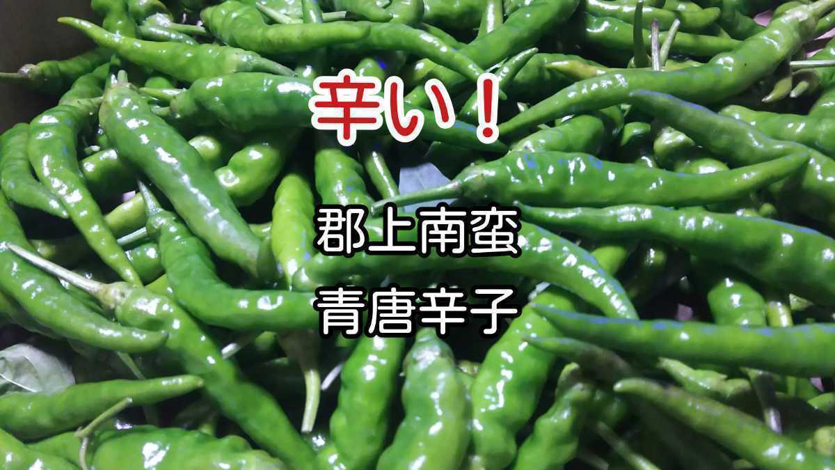 辛い 郡上南蛮 青唐辛子 100g 岐阜県産 生産者発送 自家栽培 野菜 売買されたオークション情報 Yahooの商品情報をアーカイブ公開 オークファン Aucfan Com 辛い 郡上南蛮 青唐辛子 100g 岐阜県産 生産者発送 自家栽培 野菜 売買されたオークション情報 Yahooの商品情報をアーカイブ公開 オークファン Aucfan Com