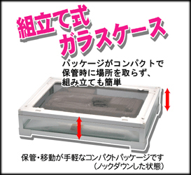 - ジャパレゲ HADAKADE MINNA MI-I 激レア みんな裸で ミアイ Mi-I YouTube メルカリ &frasl; LP 週刊・日本のレゲエClassicsVol.5 「MINNA the