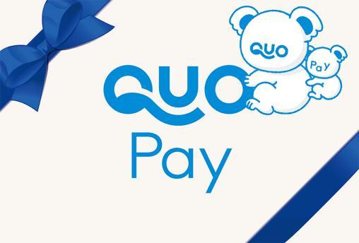 数量限定，人気 QUOカードPay 3000円分＋44円分＝3 044円分 クオカードペイ(その他)｜売買されたオークション情報、yahooの商品情報をアーカイブ公開 - オークファン その他