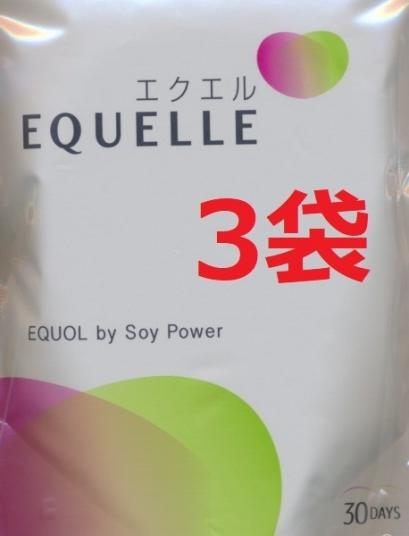 新品 大塚製薬 エクエル パウチ 120粒 30日分×3袋 24時間以内