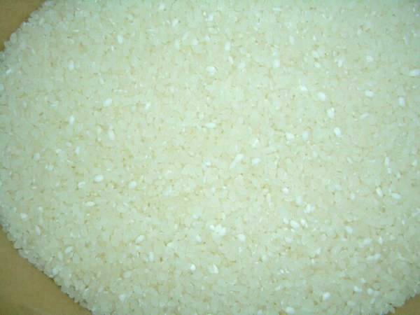 米 20kg 安くて美味しい！米の定期便,定期便|20kg｜最短即日発送、全国