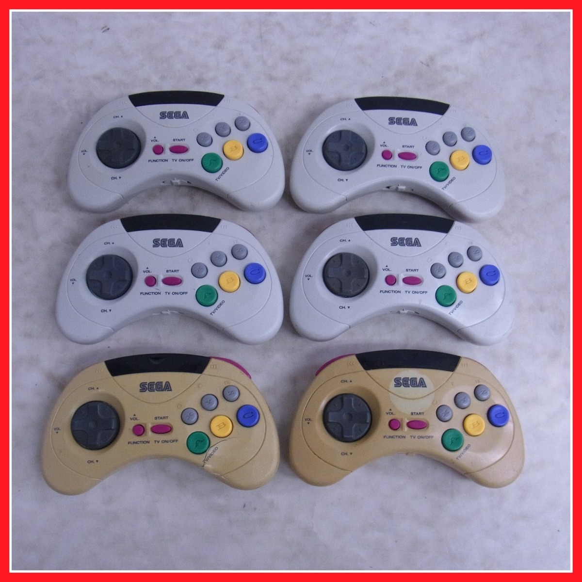 20200131_doubutu_01