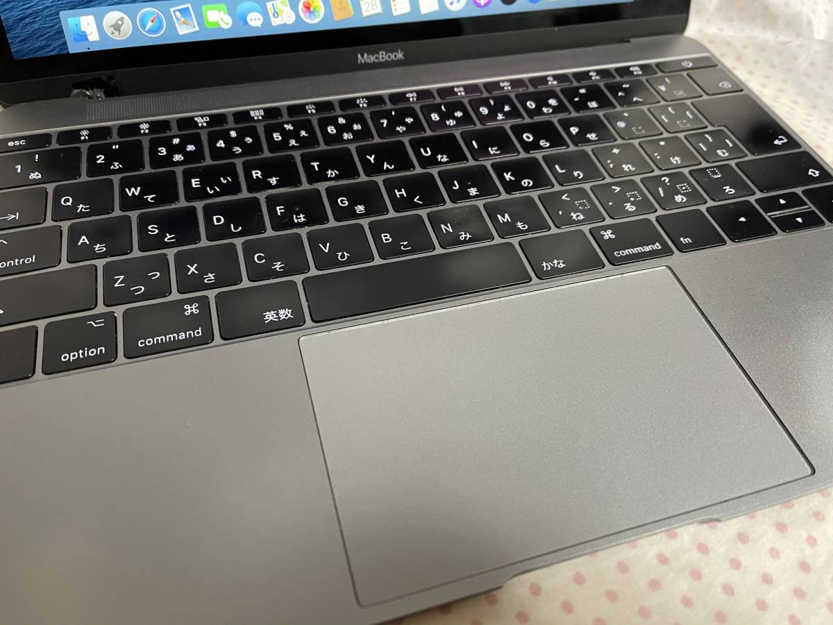Apple MacBook Retina 12-inch 2017 A1534 m3 1.2GHz 8GB 256GB MacOS 
