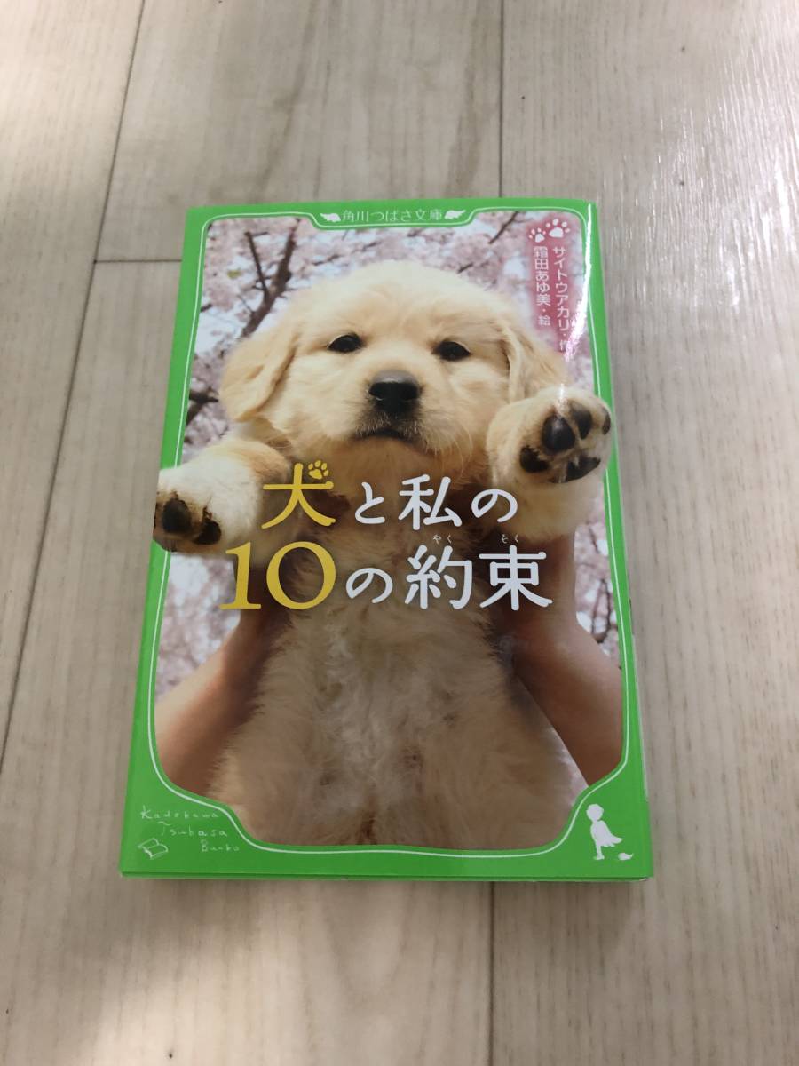犬と私の10の約束 サイトウアカリ 新作 犬と私の10の約束 サイトウアカリ 新作