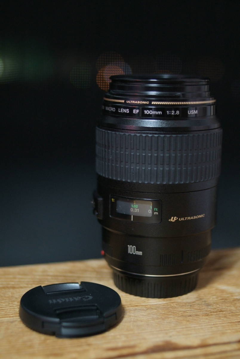 USM Canon 100mm EF F2.8 IS Macro キャノン EF100mm MACRO マクロ f⁄2.8L