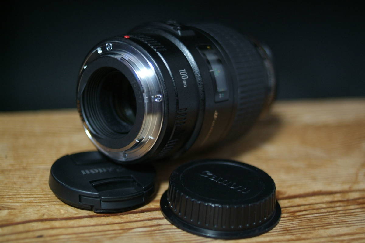 USM Canon 100mm EF F2.8 IS Macro キャノン EF100mm MACRO マクロ f⁄2.8L