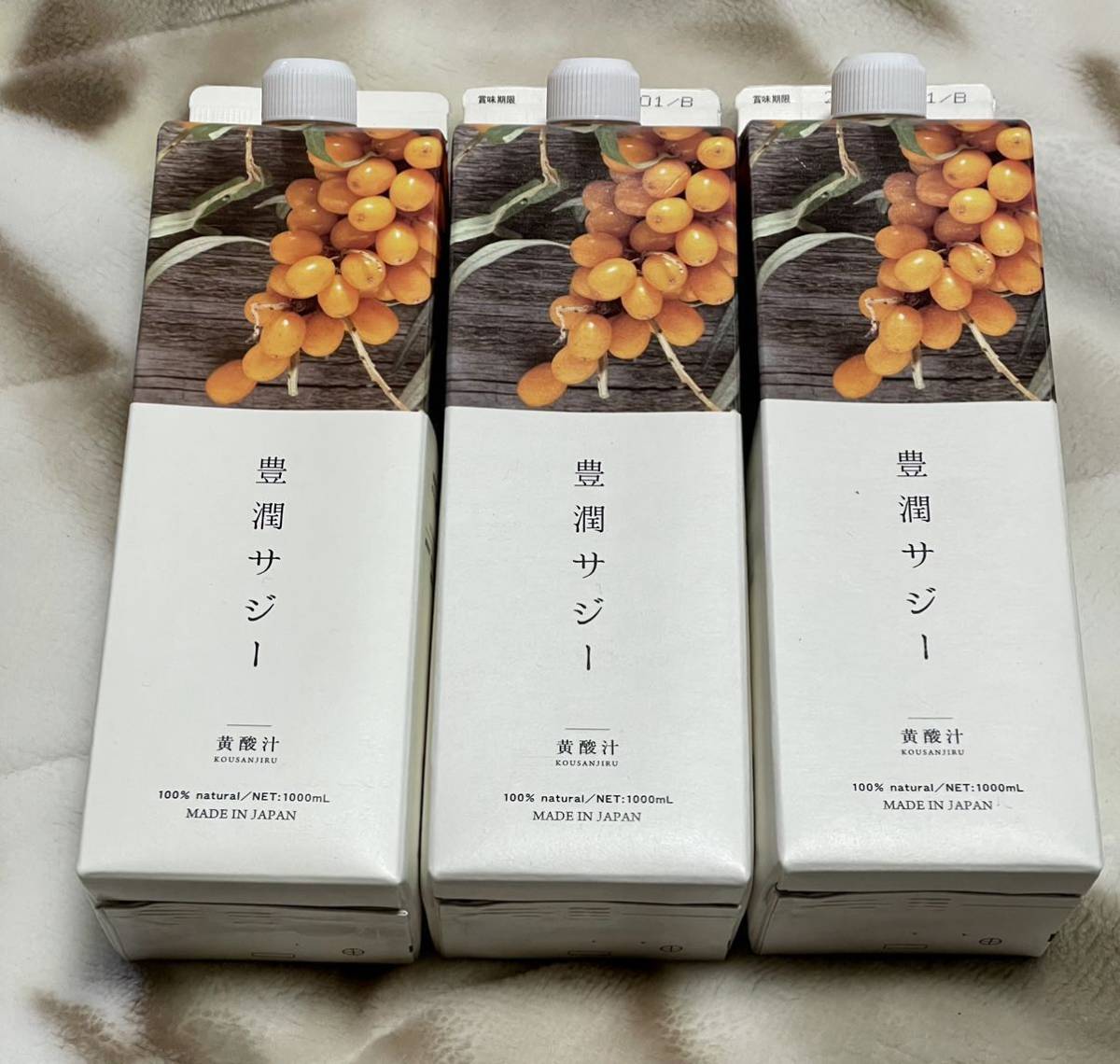 100%新品，定番】 フィネス 豊潤サジー サジージュース 1，000ml×3