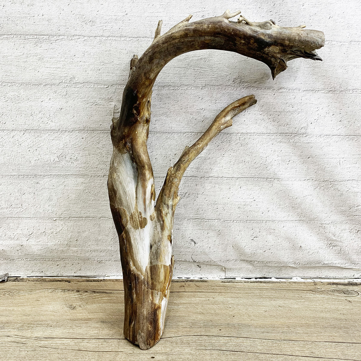 深海松 レインボーコーラル 原木 全長63㎝ 直径23㎝ 重さ5.1㎏ 加工 ルアー 釣り 希少 珊瑚 インテリア オブジェ 北TK2 ②