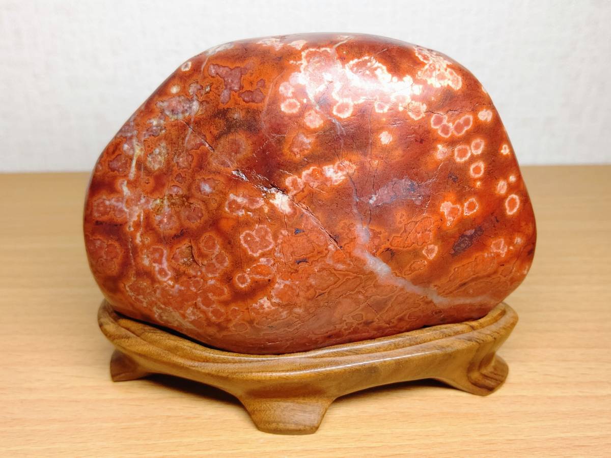 孔雀石 根尾谷産 菊花石 共箱 立札付 添配 【紅孔雀】 614g