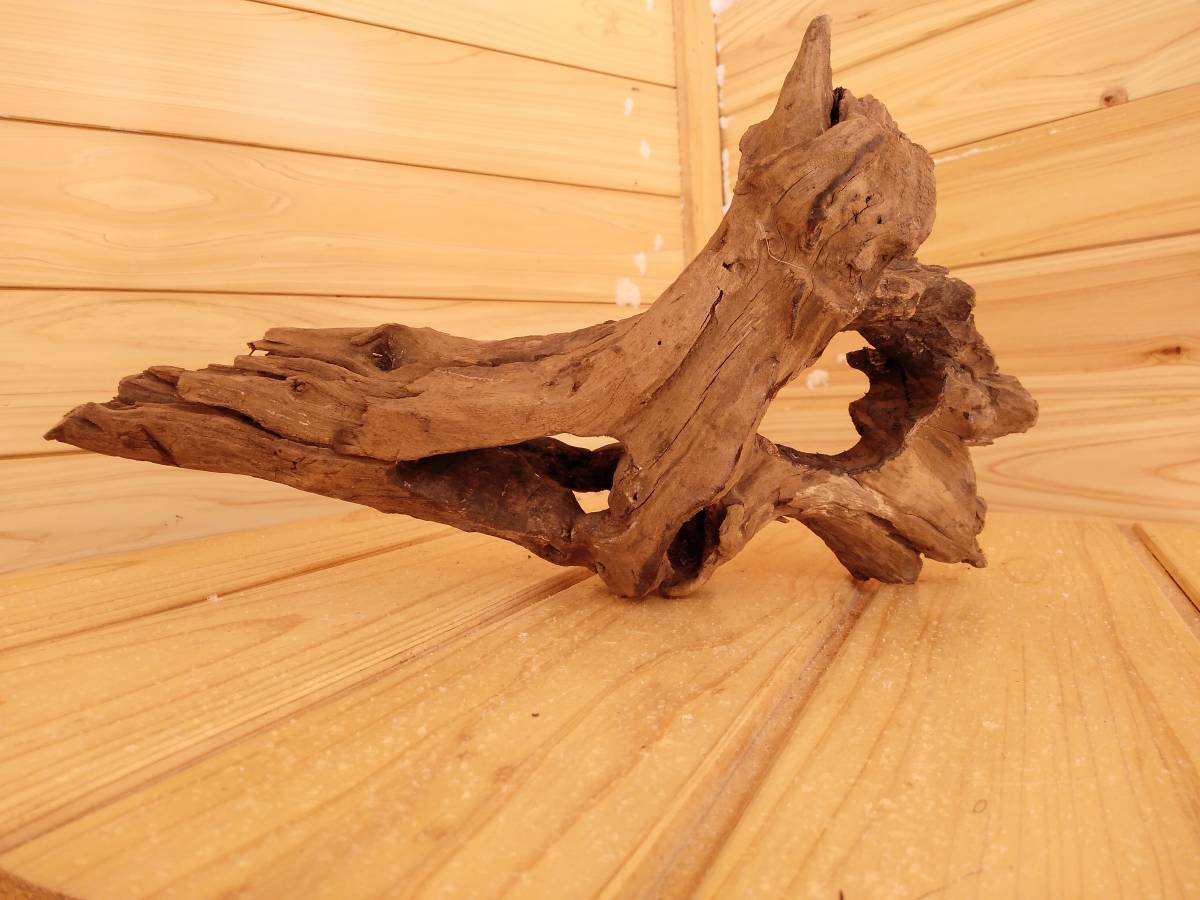 51 原産国 タイのマングローブ流木 水景レイアウト用品 アク抜き 煮沸殺菌 重曹処理 真水浸水 約150時間 創作アート流木 水槽装飾品 売買されたオークション情報 Yahooの商品情報をアーカイブ公開 オークファン Aucfan Com