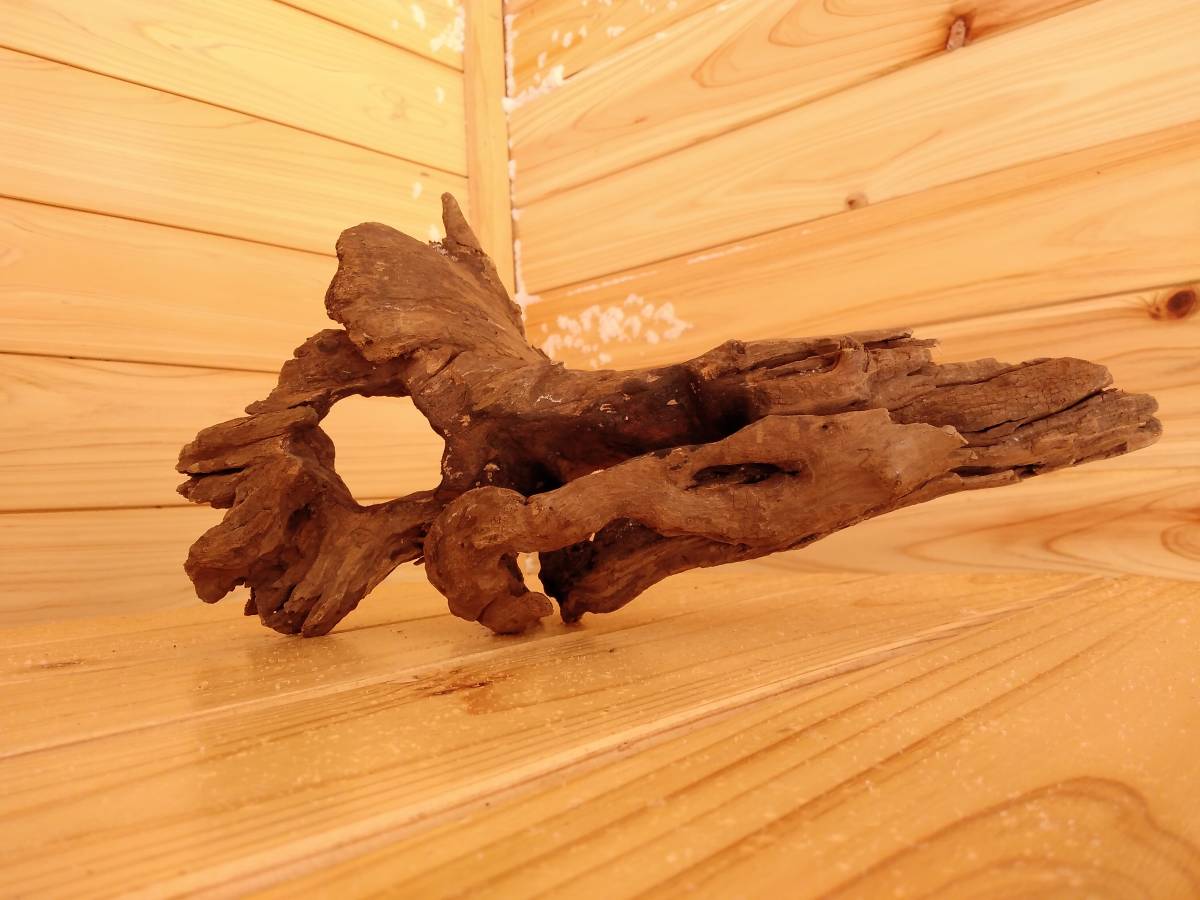 51 原産国 タイのマングローブ流木 水景レイアウト用品 アク抜き 煮沸殺菌 重曹処理 真水浸水 約150時間 創作アート流木 水槽装飾品 売買されたオークション情報 Yahooの商品情報をアーカイブ公開 オークファン Aucfan Com