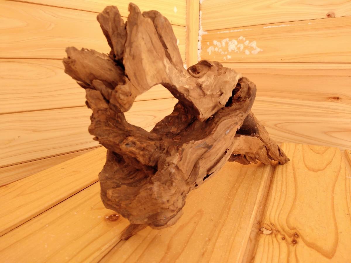 51 原産国 タイのマングローブ流木 水景レイアウト用品 アク抜き 煮沸殺菌 重曹処理 真水浸水 約150時間 創作アート流木 水槽装飾品 売買されたオークション情報 Yahooの商品情報をアーカイブ公開 オークファン Aucfan Com