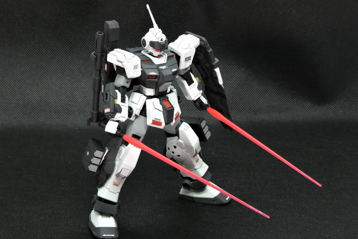 プレミアムバンダイ限定 Hguc 1 144 Rx 80pr ペイルライダー 陸戦重装備仕様 カスタムペイント 完成品 売買されたオークション情報 Yahooの商品情報をアーカイブ公開 オークファン Aucfan Com