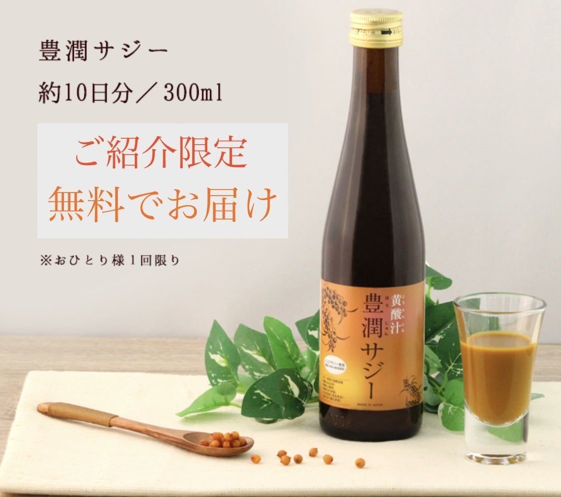 SNS も話題 フィネス 豊潤サジー 300ml 約10日分 ご紹介限定 お試し(その他)|売買されたオークション情報、yahooの商品情報を ...