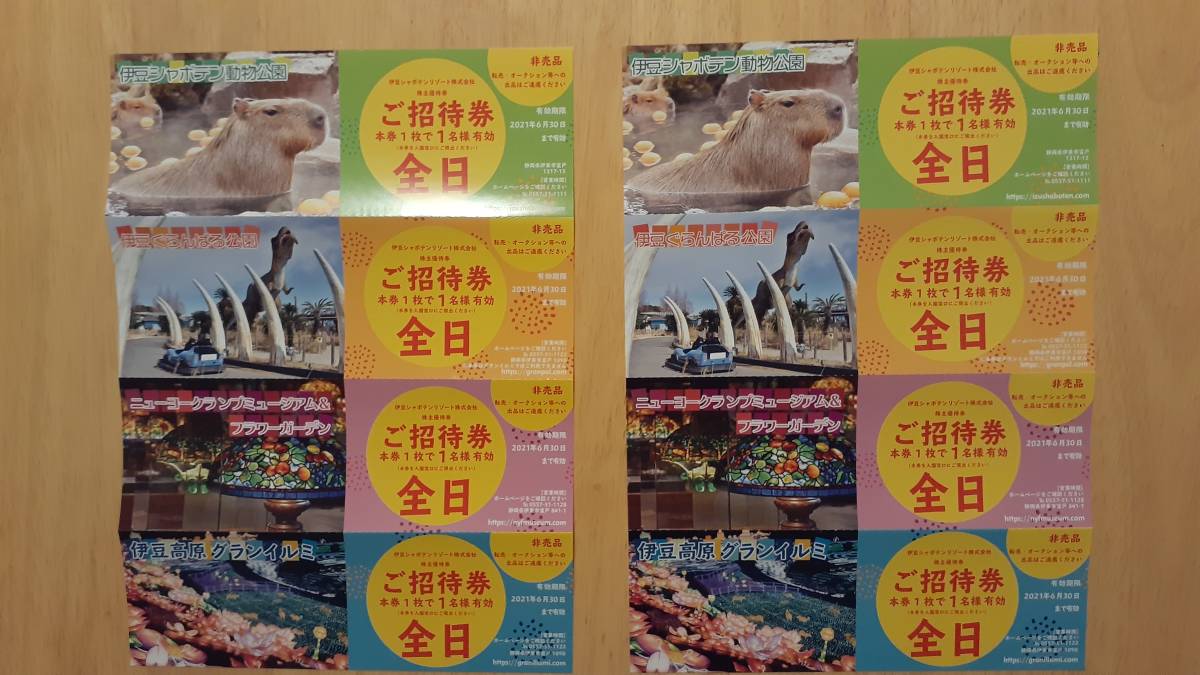 【株主優待】伊豆シャボテンリゾート　伊豆シャボテン動物公園・グランイルミ他　全日2名分