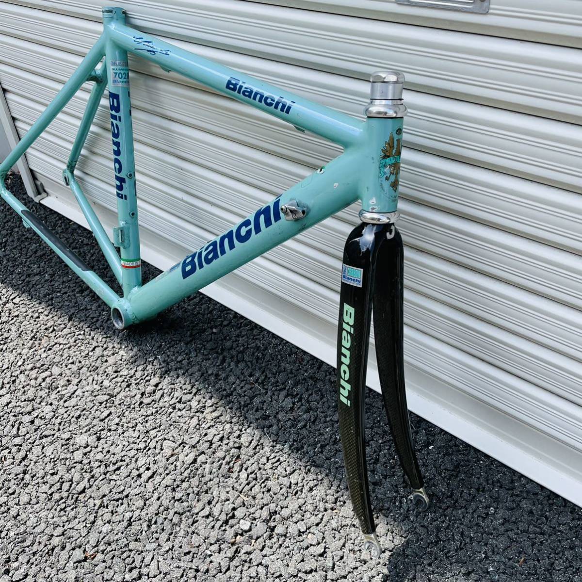 BIANCHI アルミ ロードバイク カーボンフォーク フレームセット