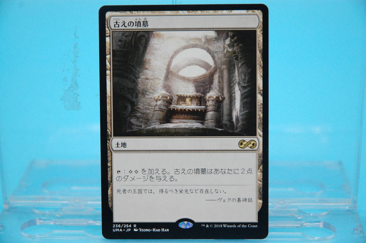 MTG - 日本語版 土地 土地U 39-4 MTG マジック・ザ・ギャザリング 土地 