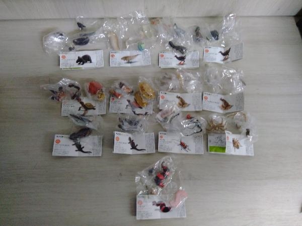 海洋堂 カプセルQ 日本の動物コレクション 沖縄奄美 やんばるの森 全13