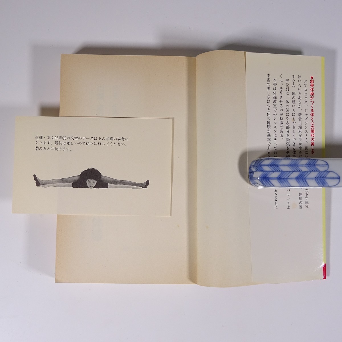 川端麻記子の ぐんぐんやせる創美体操 廣済堂 1987 単行本 健康