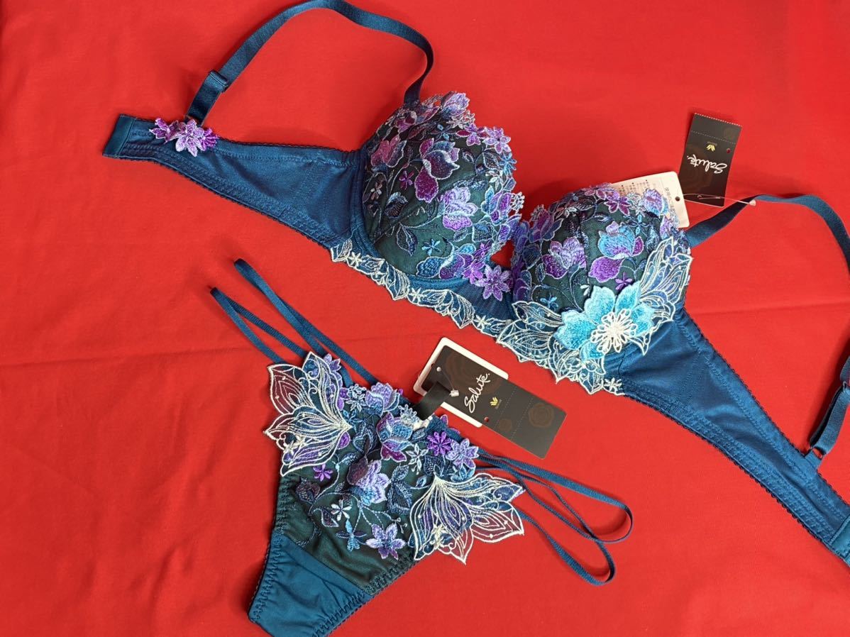 サルート 46グループ d70 m サルート 33グループ スピカ D70&ソングM GB 乙女座