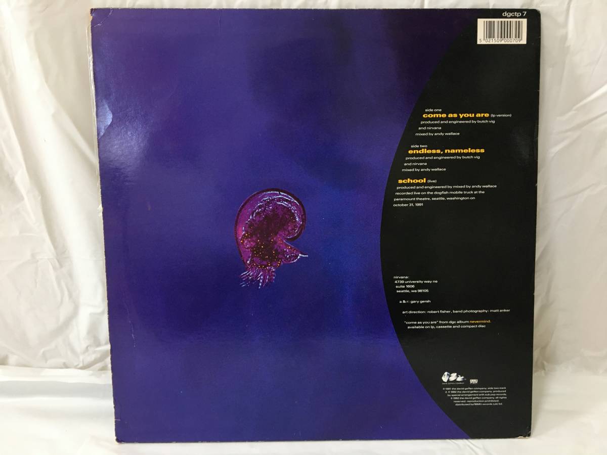 ☆I339☆LP レコード 限定ピクチャー盤 NIRVANA come as you are