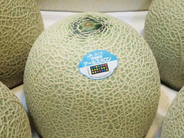 【Good】緊急入荷!茨城産 JAほこた『アールスメロン』 大玉3~5玉 7~9kg