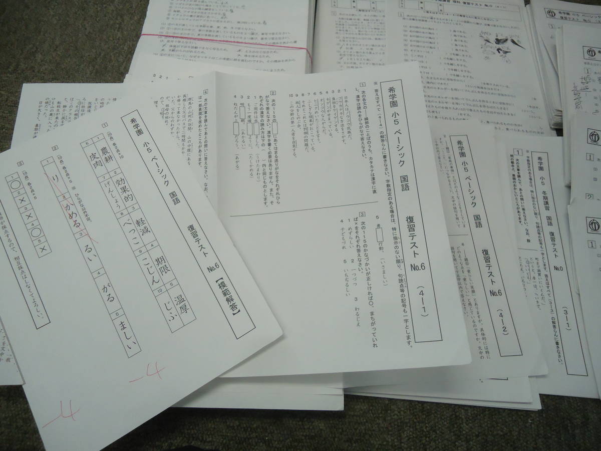 希学園 小5ベーシック算数 復習テスト 一年分 希学園 小5 ベーシック