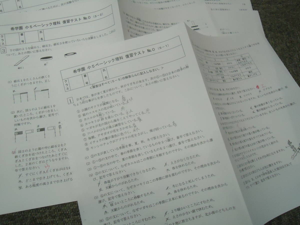 送料無料！希学園 小5/5年 国語/算数/理科/夏期/冬期 ベーシック 復習