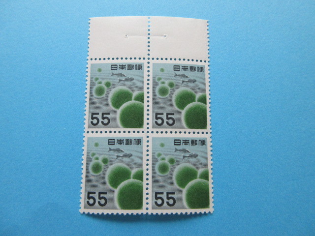 m494458660.2