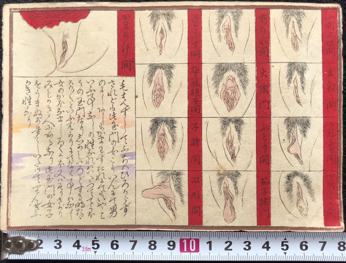 12.春画 明治期 浮世絵 木版画 錦絵 艶本 枕絵 春宮図 秘画 検：国芳