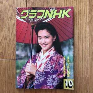 グラフNHKのYahoo!オークション(旧ヤフオク!)の相場・価格を見る