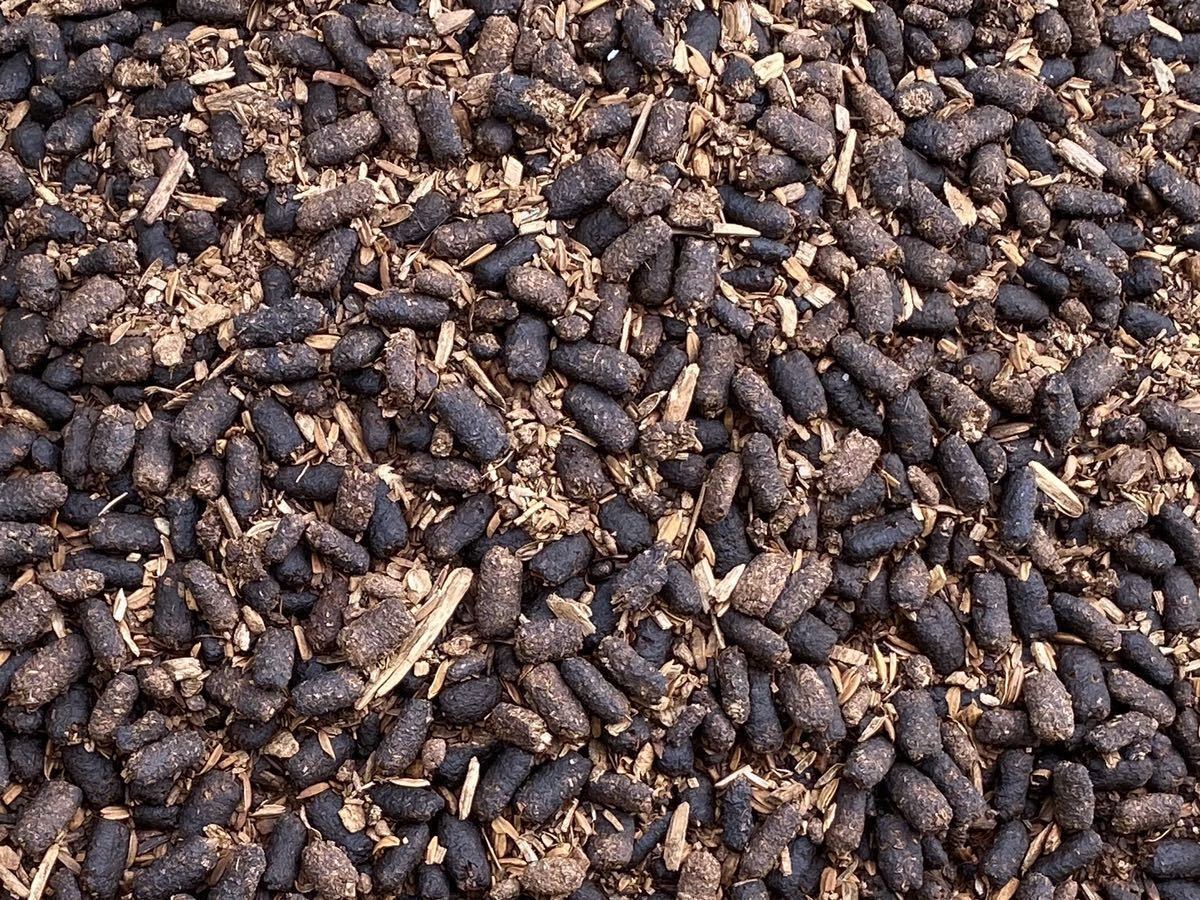 土作り カブトカナブン幼虫の糞と発酵マット24ｋｇ以上 使用済みマット 肥料 土 売買されたオークション情報 Yahooの商品情報をアーカイブ公開 オークファン Aucfan Com