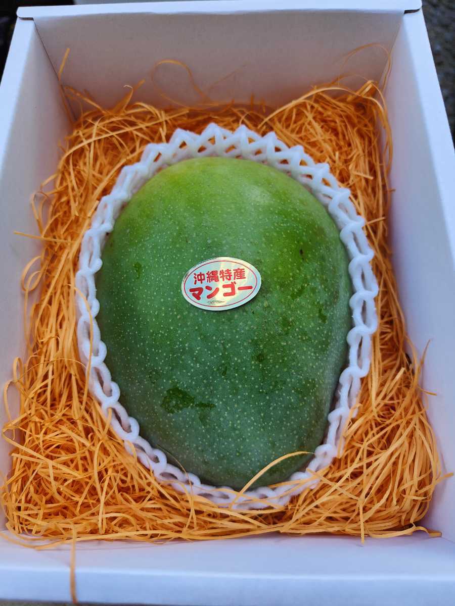 限定セール 送料込み【破格値1円スタート】沖縄県産 キーツマンゴー ご贈答用1.1キロ 化粧箱