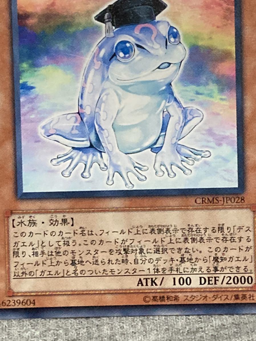 遊戯王カード 魔知カエル レア 1枚 美品 f(デュエルモンスターズ 
